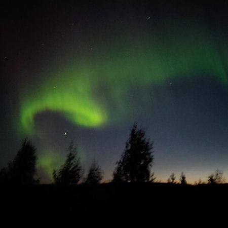 Lapland Forest Lodge Rovaniemi Eksteriør bilde